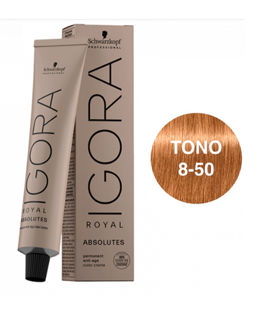 IGORA ROYAL ABSOLUTES 8-50