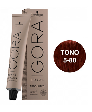 IGORA ROYAL ABSOLUTES 5-80