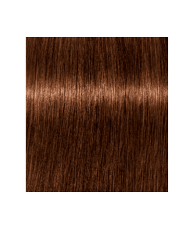 IGORA ROYAL ABSOLUTES 6-460 AGE BLEND (D)