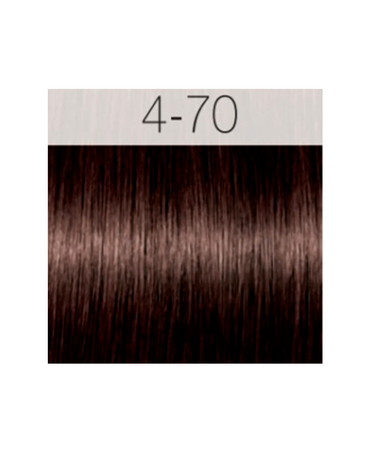 IGORA ROYAL ABSOLUTES 4-70 (D)
