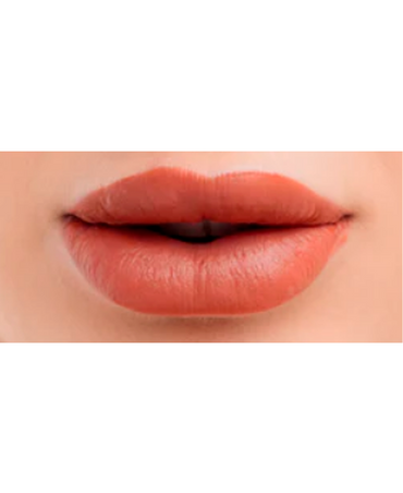 RUBY ROSE LIP GLOSS DUO MATE BRILLO TONO D08 HB-F568/G2