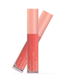 RUBY ROSE PERFECT LIPS WILDFLOWER HB-L6200-1 G1
