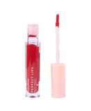 RUBY ROSE PERFECT LIPS WILDFLOWER HB-L6200-2 G1