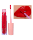 RUBY ROSE PERFECT LIPS WILDFLOWER HB-L6200-2 G1