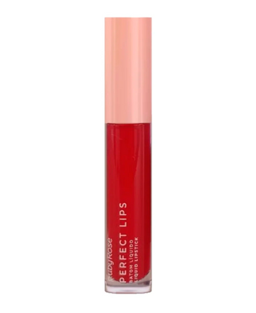 RUBY ROSE PERFECT LIPS WILDFLOWER HB-L6200-2 G1
