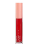 RUBY ROSE PERFECT LIPS WILDFLOWER HB-L6200-2 G1