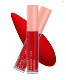 RUBY ROSE PERFECT LIPS WILDFLOWER HB-L6200-5 G2