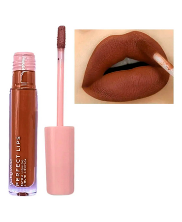 RUBY ROSE PERFECT LIPS FLAWLESS HB-L6200-6 G2