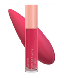 RUBY ROSE PERFECT LIPS CHASING DREAMS HB-L6200-8 G2