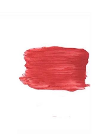 RUBY ROSE BLOW BESTIES LABIAL EN BARRA SATINADO HB- L6002 GIRLS MEETING
