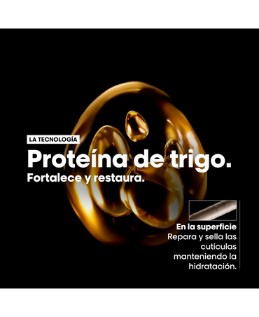 LP LOREAL SERIE EXPERT ABSOLUT REPAIR SHAMPOO 240 ML. REFILL - El Palacio De La Belleza