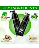 DEXE BLACK HAIR SHAMPOO TINTE CASTAÑO 400 ML.