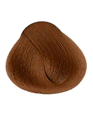 ALFA PARF EVOLUTION TINTE METALLIC BRONZE 7