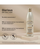 ALFA PARF IL SALONE GLORIOUS SHAMPOO 500 ML. PF012688 / PF20167