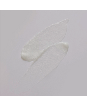 ALFA PARF IL SALONE SUPREME MASK 250 ML. PF012693 / PF020170