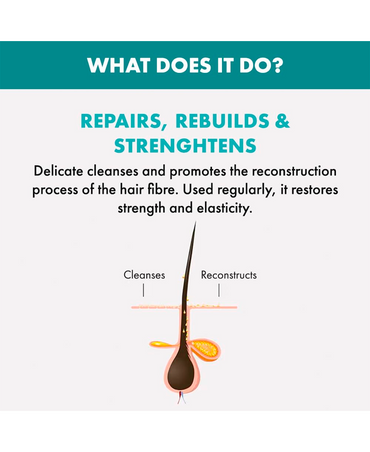 ALFA PARF SDL RECONSTRUCTION REPARATIVE LOW SHAMPOO 1000 ML.
