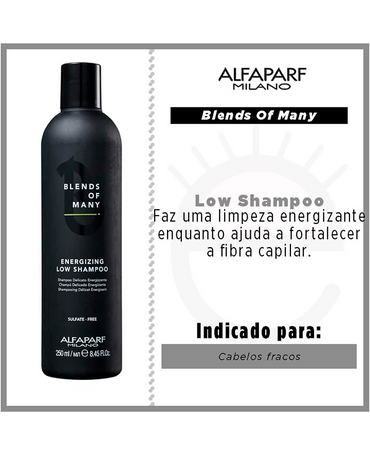 ALFA PARF BLENDS OF MANY PF018566 ENERGIZING LOW SHAMPOO 250 ML.