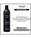 ALFA PARF BLENDS OF MANY PF018566 ENERGIZING LOW SHAMPOO 250 ML.