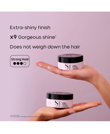 ALFA PARF SDL STYLE CARE GLOSSY POMADE 90 ML.