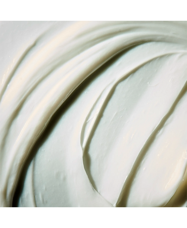 ALFA PARF BENVOLEO RECOVERY MASK 450 ML.