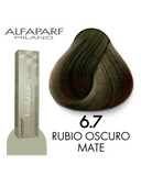 ALFA PARF EVOLUTION TINTE 6.7