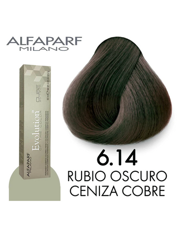 ALFA PARF EVOLUTION TINTE 6.14