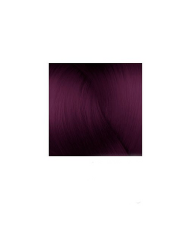 SILKY TINTE COLOR 100 ML. 44.20 CASTAÑO VIOLETA INTENSO