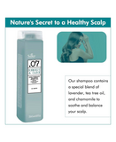 SILKY .07 REMEDY & CARE CUERO CABELLUDO GRASO SHAMPOO 250 ML.