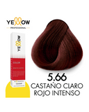 YELLOW COLOR TINTE 5.66 (D)