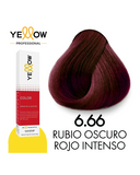 YELLOW COLOR TINTE 6.66 (D)