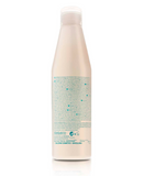 SALERM 21 LEAVE IN CONDITIONER BOTELLA 250 ML.