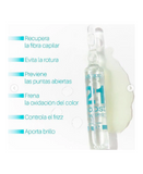 SALERM 21 BOOST CAJA CON 8 AMPOLLETA X13 ML. C/U