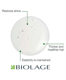 MATRIX BIOLAGE FIBERSTRONG SHAMPOO 1 LT.(D) - El Palacio De La Belleza