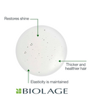 MATRIX BIOLAGE FIBERSTRONG SHAMPOO 400 ML. - El Palacio De La Belleza
