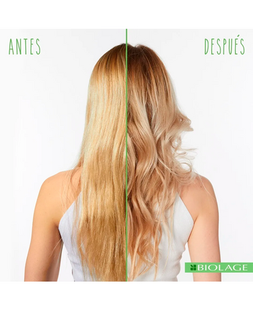 MATRIX BIOLAGE COLORLAST SHAMPOO VIOLETA 400 ML. - El Palacio De La Belleza