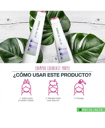 MATRIX BIOLAGE COLORLAST SHAMPOO VIOLETA 400 ML. - El Palacio De La Belleza