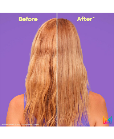 MATRIX TOTAL RESULTS SO SILVER ACONDICIONADOR 1 LT.