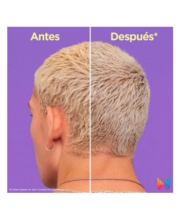 MATRIX TOTAL RESULTS SO SILVER ACONDICIONADOR PIGMENTADO 1 LT.