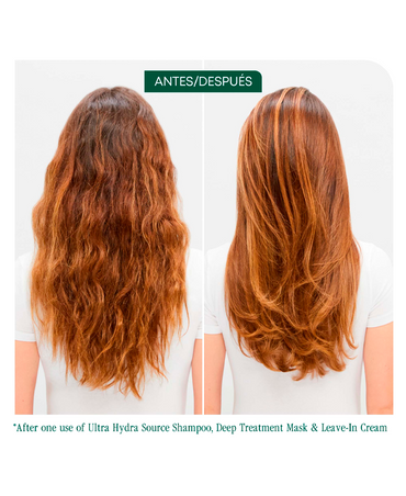 BIOLAGE HYDRA SOURCE MASK 500 ML. 2025