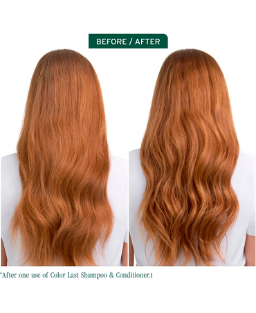 BIOLAGE COLOR LAST PURPLE SHAMPOO 400 ML. 2025