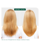 BIOLAGE STRENGTH RECOVERY CONDITIONER 236 ML. 2025