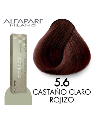 ALFA PARF EVOLUTION TINTE 5.6