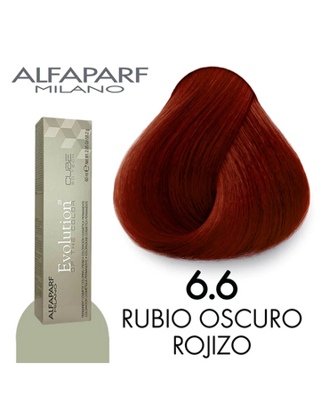 ALFA PARF EVOLUTION TINTE 6.6