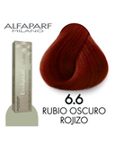 ALFA PARF EVOLUTION TINTE 6.6
