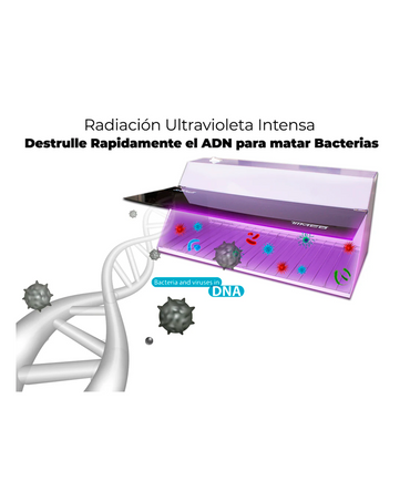 TIMCO LETMEX ESTERILIZADOR P-1500
