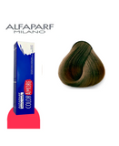 ALFA PARF COLOR AMORE TINTE 5.31