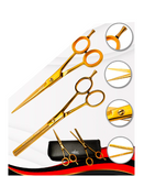 AASHTA KIT 2 TIJERAS DORADA CORTE/ENTRESACAR 6.5 PICBSK09