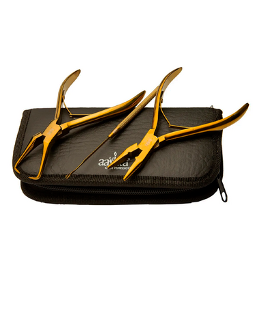 AASHTA ESTUCHE PARA EXTENSIONES PICBSK62-G GOLD