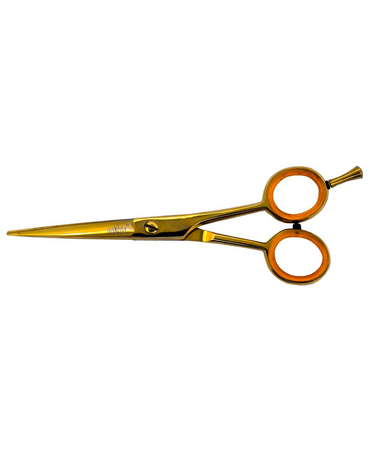 PAKITAL AASHTA ESTUCHE TIJERAS 5.5" DORADO MOD. PS254 Y PS255 PICBSK72