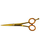 PAKITAL AASHTA ESTUCHE TIJERAS 5.5" DORADO MOD. PS254 Y PS255 PICBSK72
